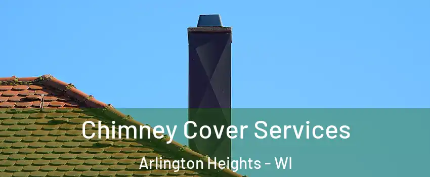 Chimney Cover Services Arlington Heights - WI