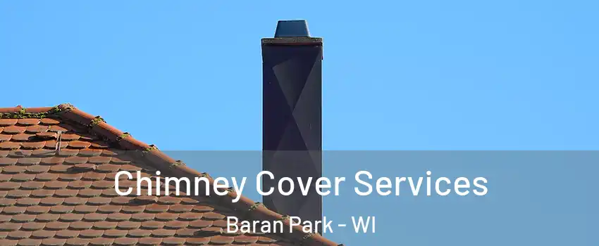 Chimney Cover Services Baran Park - WI