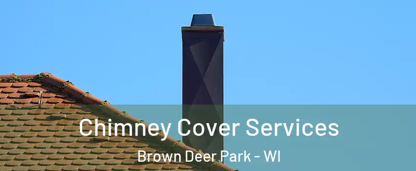 Chimney Cover Services Brown Deer Park - WI