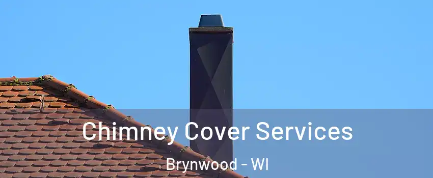 Chimney Cover Services Brynwood - WI