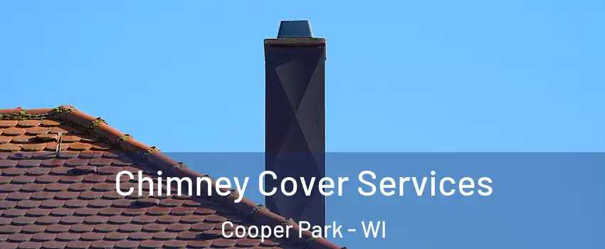 Chimney Cover Services Cooper Park - WI