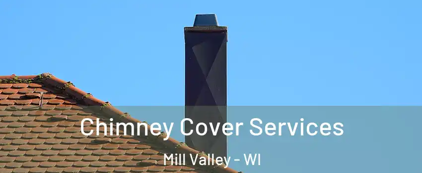 Chimney Cover Services Mill Valley - WI