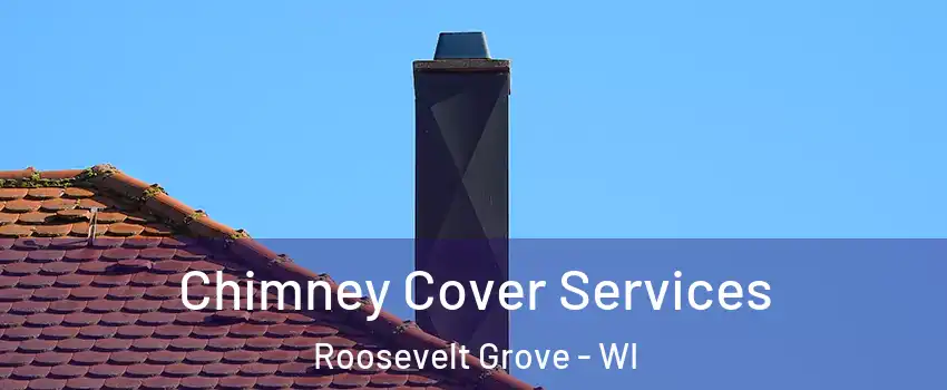 Chimney Cover Services Roosevelt Grove - WI