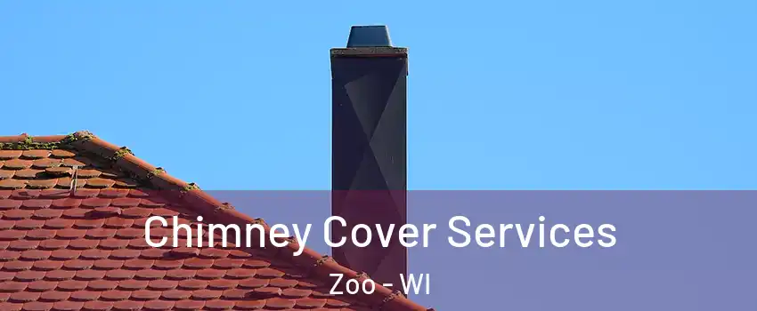 Chimney Cover Services Zoo - WI