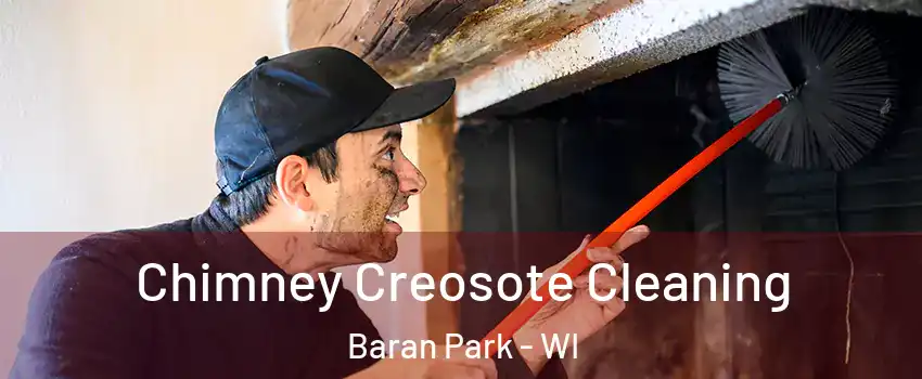 Chimney Creosote Cleaning Baran Park - WI