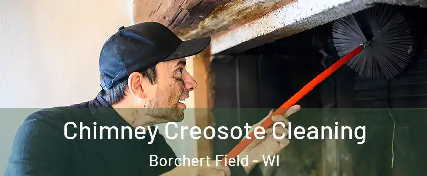 Chimney Creosote Cleaning Borchert Field - WI