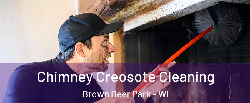 Chimney Creosote Cleaning Brown Deer Park - WI