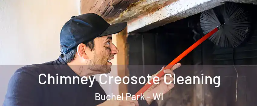 Chimney Creosote Cleaning Buchel Park - WI