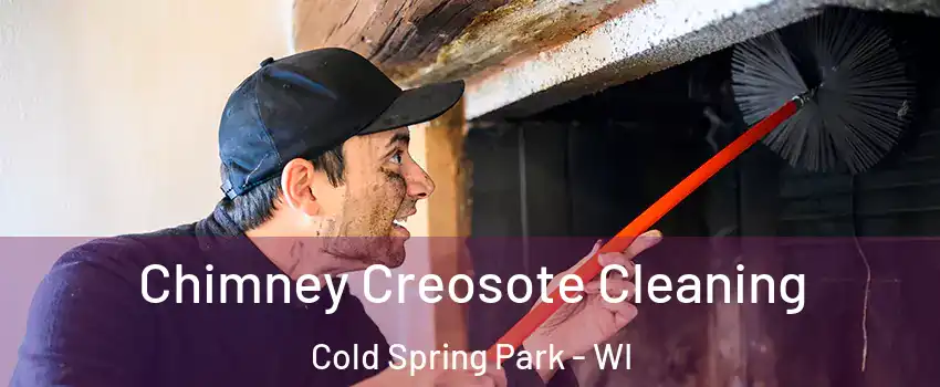 Chimney Creosote Cleaning Cold Spring Park - WI