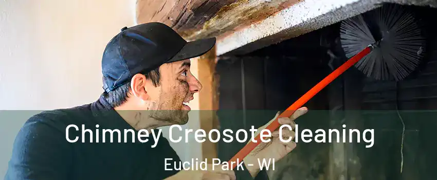 Chimney Creosote Cleaning Euclid Park - WI