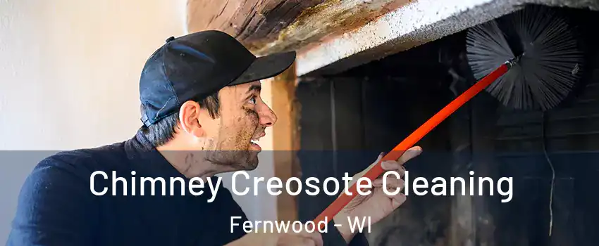 Chimney Creosote Cleaning Fernwood - WI