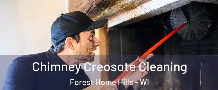 Chimney Creosote Cleaning Forest Home Hills - WI