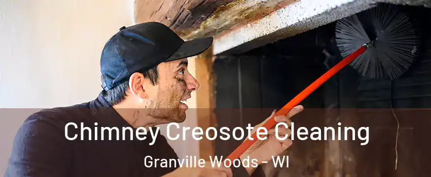 Chimney Creosote Cleaning Granville Woods - WI