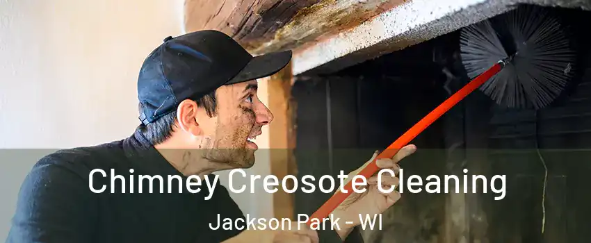 Chimney Creosote Cleaning Jackson Park - WI