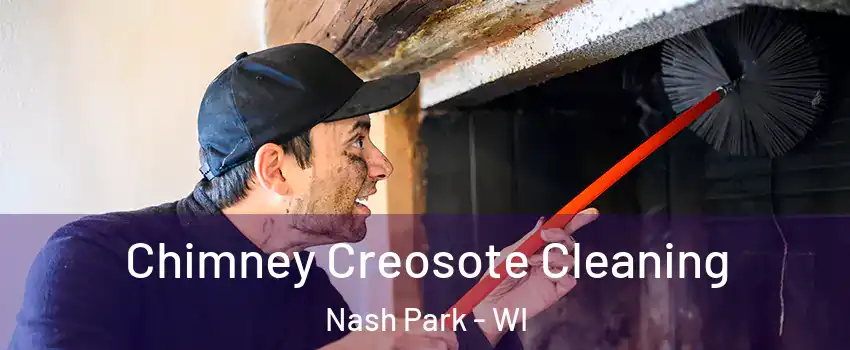 Chimney Creosote Cleaning Nash Park - WI