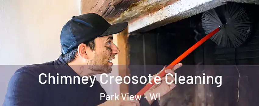 Chimney Creosote Cleaning Park View - WI