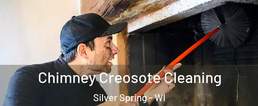 Chimney Creosote Cleaning Silver Spring - WI