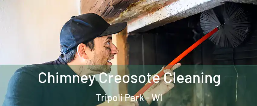 Chimney Creosote Cleaning Tripoli Park - WI