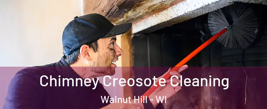 Chimney Creosote Cleaning Walnut Hill - WI