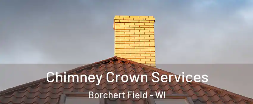 Chimney Crown Services Borchert Field - WI