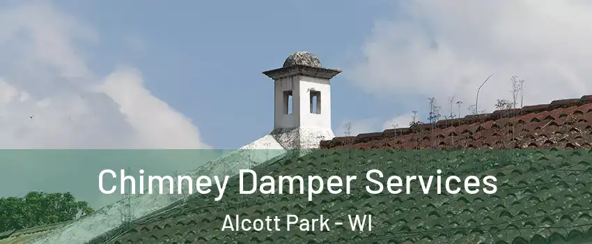 Chimney Damper Services Alcott Park - WI