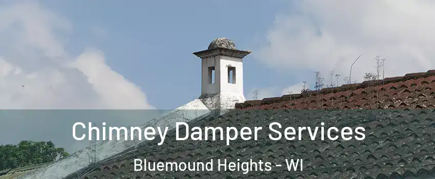 Chimney Damper Services Bluemound Heights - WI