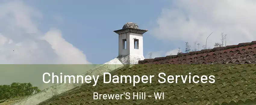 Chimney Damper Services Brewer'S Hill - WI