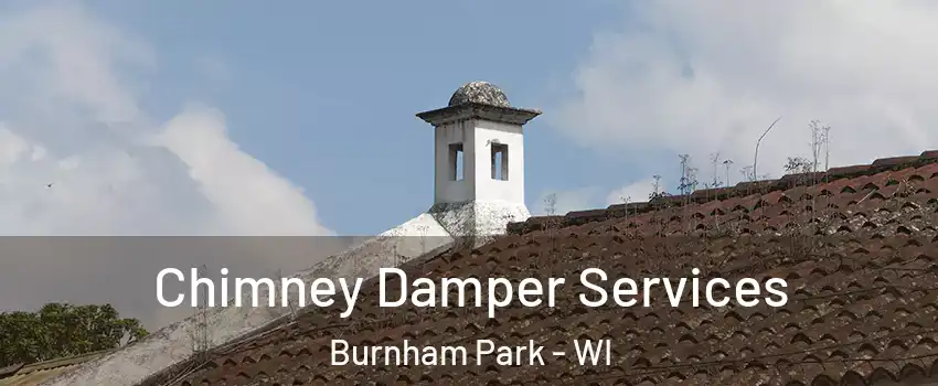 Chimney Damper Services Burnham Park - WI