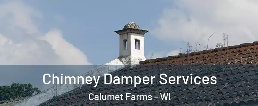 Chimney Damper Services Calumet Farms - WI