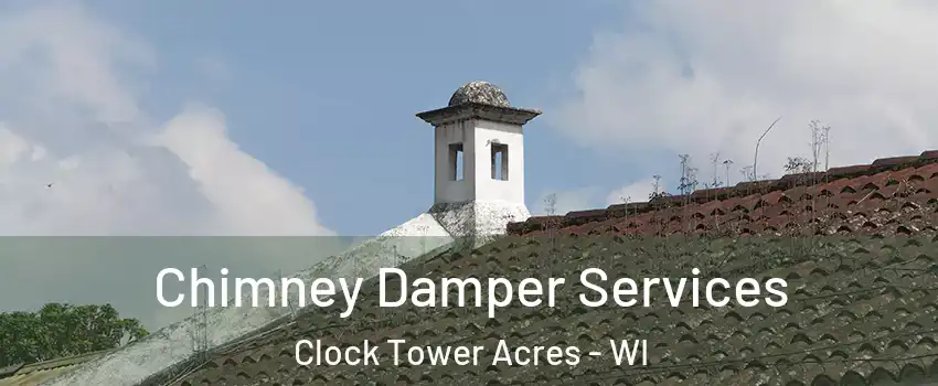 Chimney Damper Services Clock Tower Acres - WI