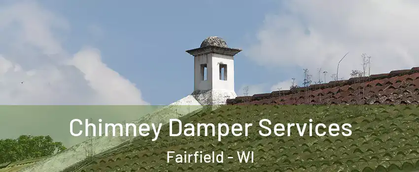 Chimney Damper Services Fairfield - WI