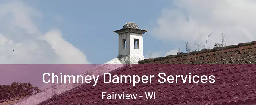 Chimney Damper Services Fairview - WI