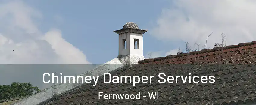 Chimney Damper Services Fernwood - WI