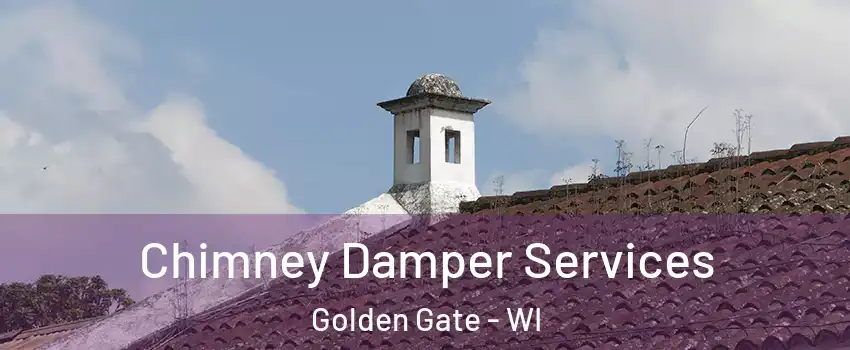 Chimney Damper Services Golden Gate - WI