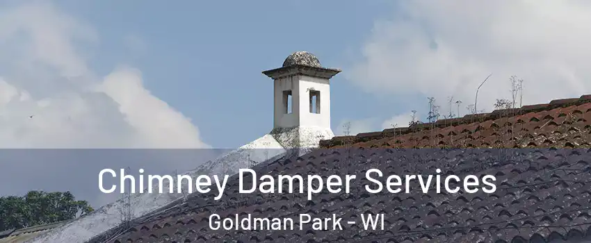 Chimney Damper Services Goldman Park - WI