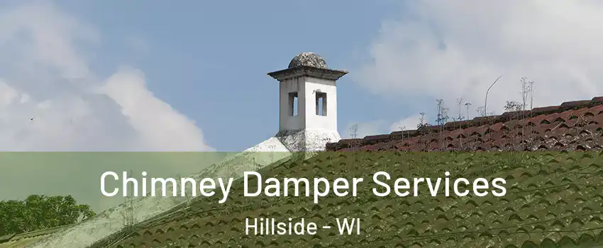 Chimney Damper Services Hillside - WI