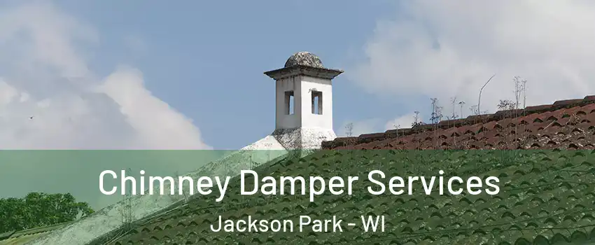 Chimney Damper Services Jackson Park - WI