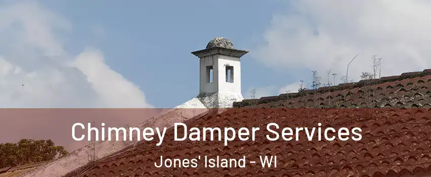 Chimney Damper Services Jones' Island - WI