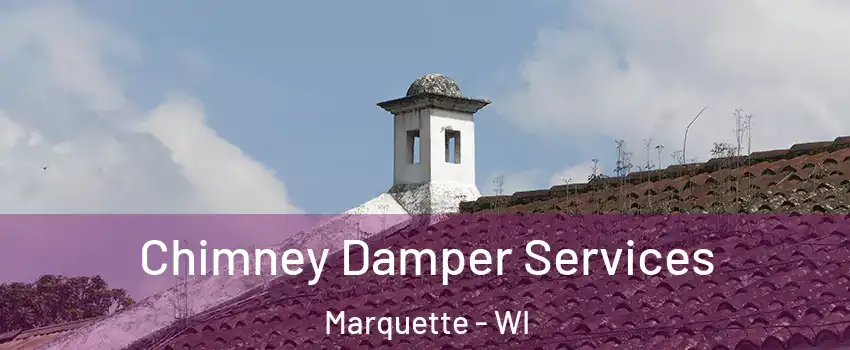 Chimney Damper Services Marquette - WI