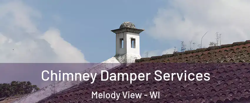 Chimney Damper Services Melody View - WI