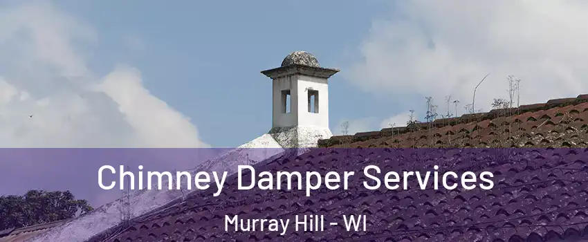 Chimney Damper Services Murray Hill - WI