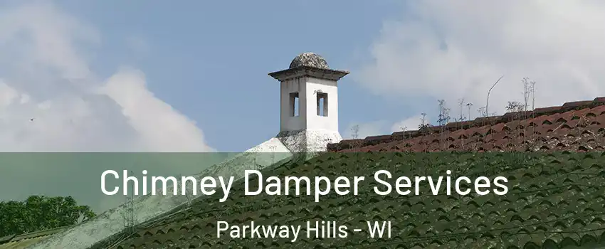 Chimney Damper Services Parkway Hills - WI