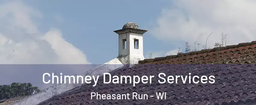 Chimney Damper Services Pheasant Run - WI