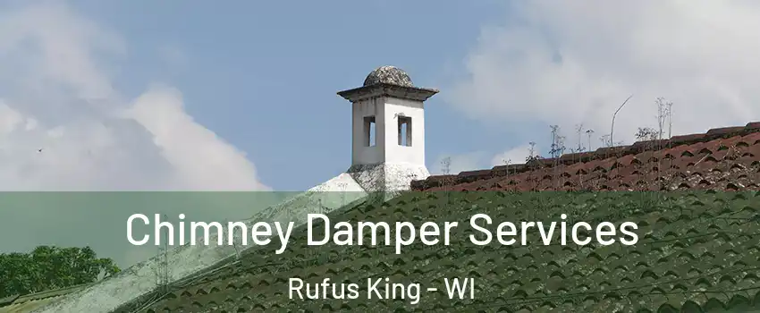 Chimney Damper Services Rufus King - WI