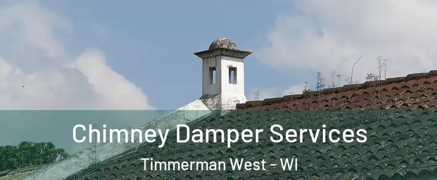 Chimney Damper Services Timmerman West - WI