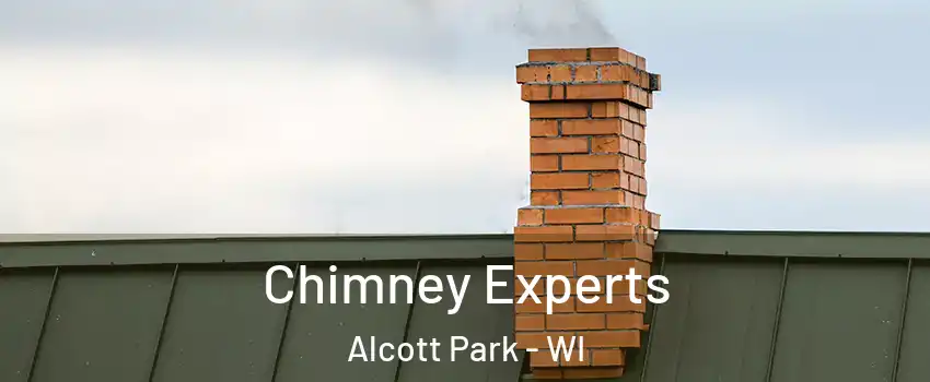 Chimney Experts Alcott Park - WI