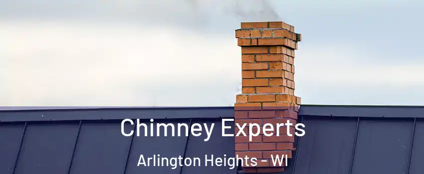 Chimney Experts Arlington Heights - WI