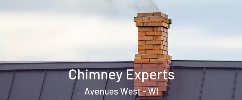 Chimney Experts Avenues West - WI