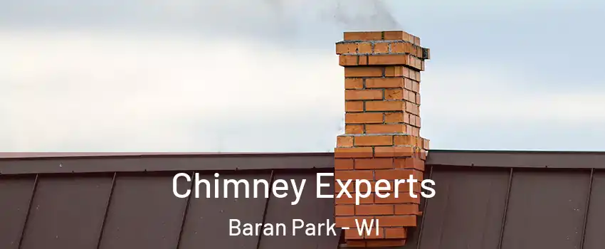 Chimney Experts Baran Park - WI