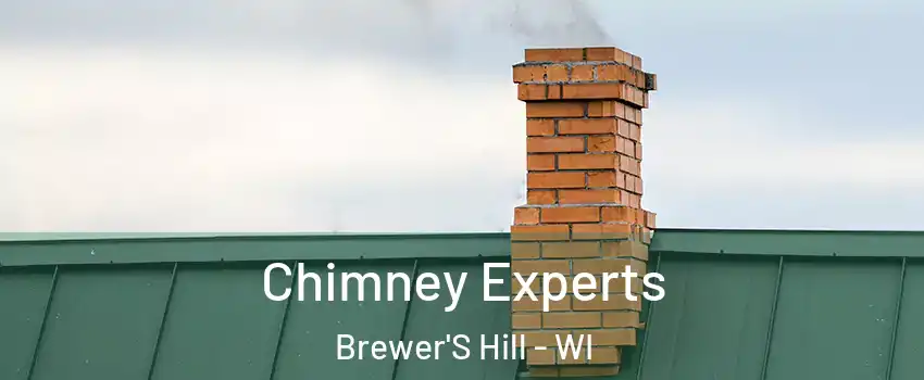 Chimney Experts Brewer'S Hill - WI